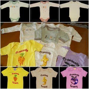 6 EcoBaby Organics Cotton 1-Piece Onesie 3-6 month